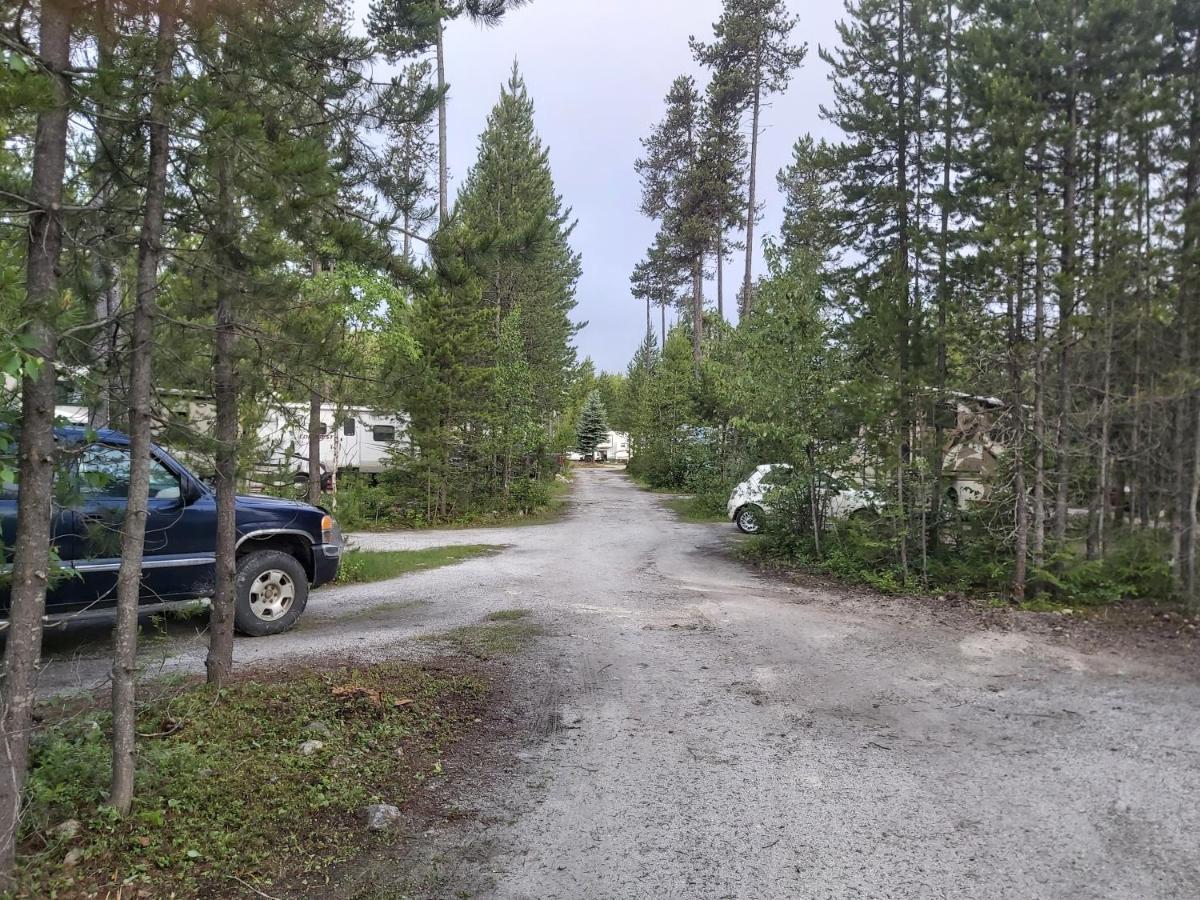 蓝河小屋及露营地 布卢里弗 外观 照片