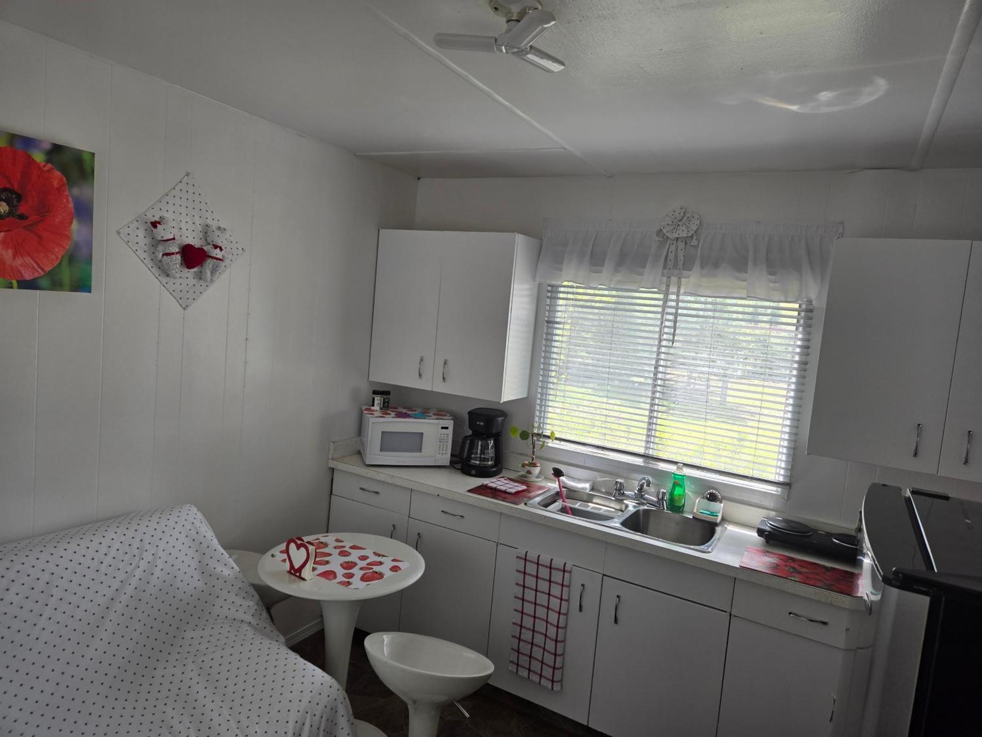 蓝河小屋及露营地 布卢里弗 外观 照片